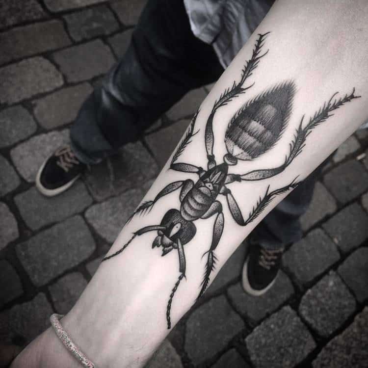 Ant Tattoo by noksitattoo