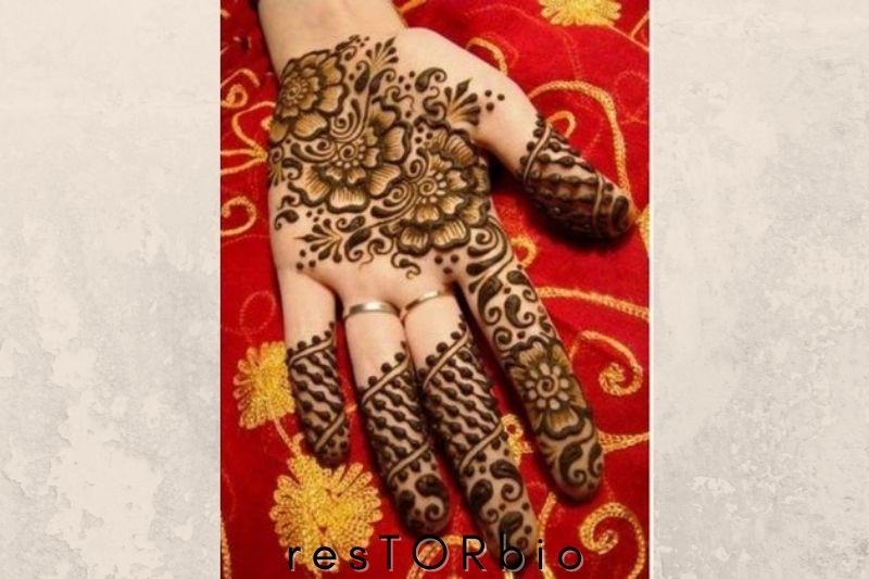 Mehandi Design with Flowers and Paisleys