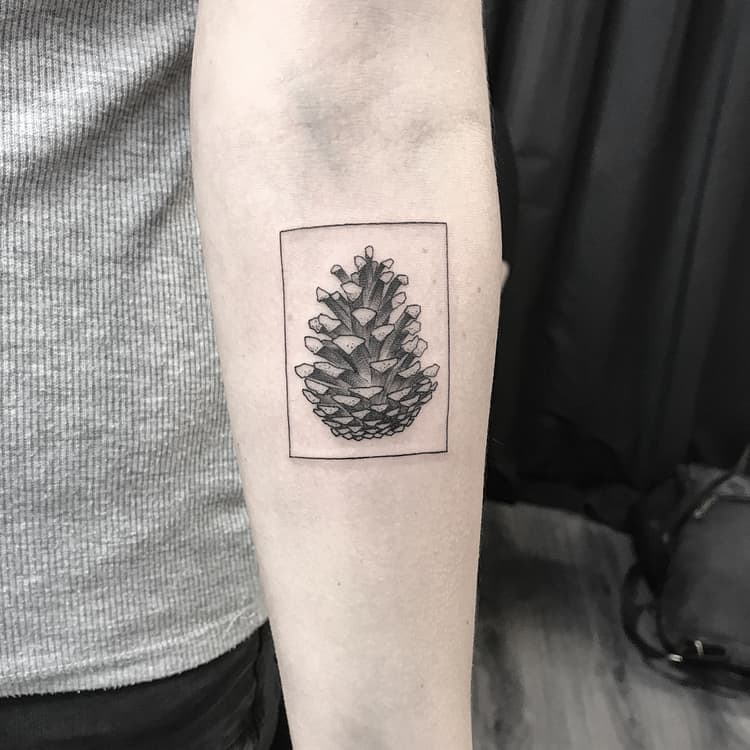 Pine Cone Tattoo by simondiamant