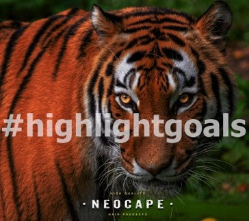 Neocape Highlight Goals