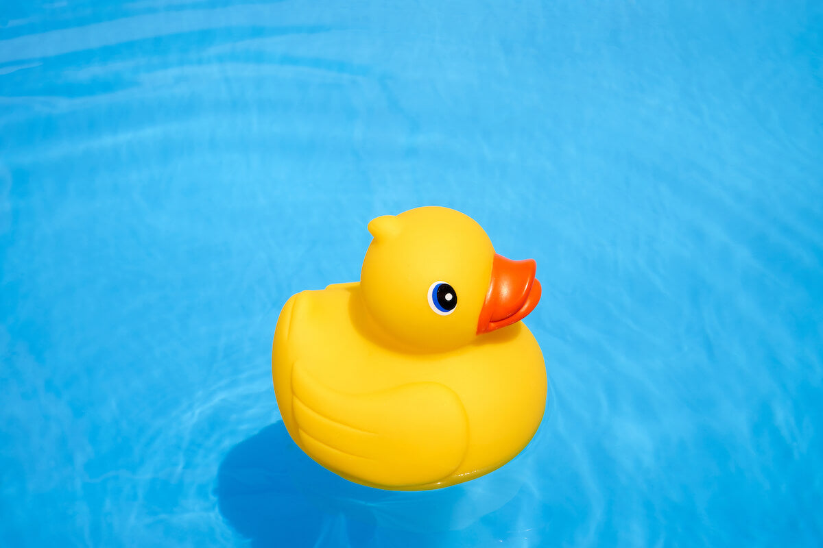 Yellow rubber duck floating in water
