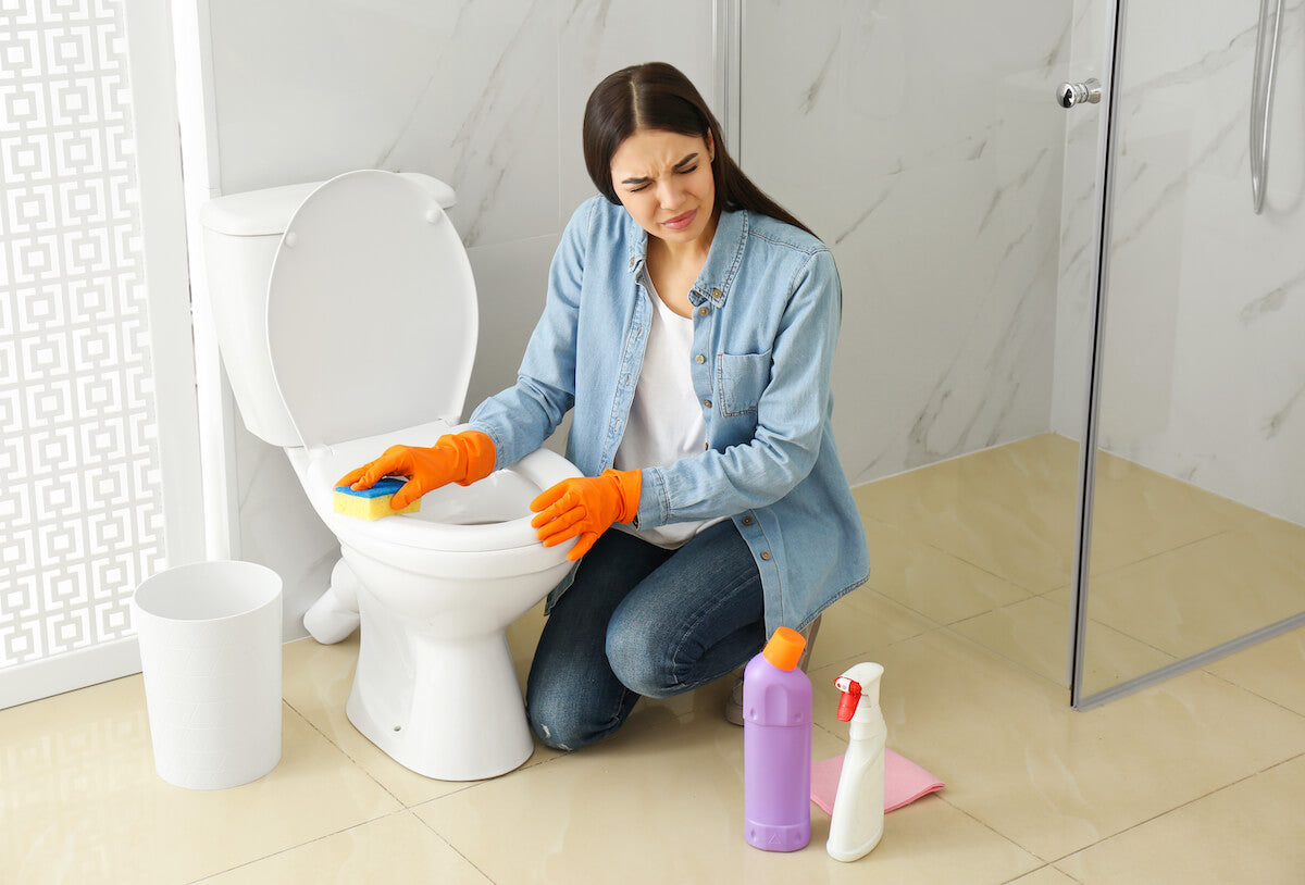 Women Cleaning Toilet