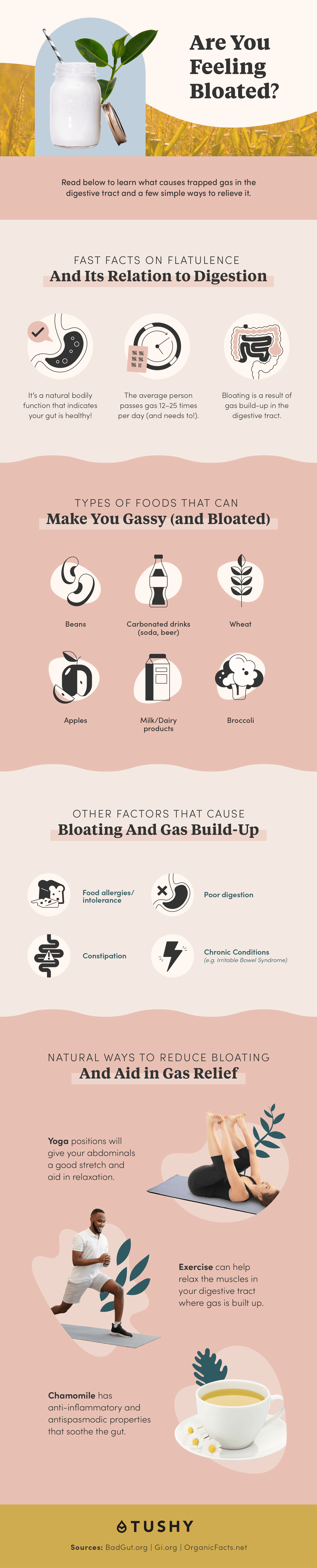 What Causes Farting & What Can Help to Relieve Gas