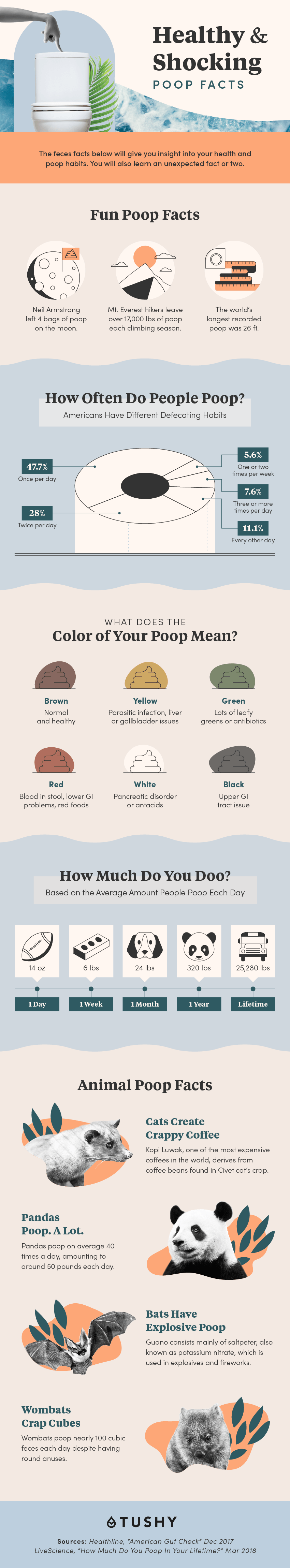 Healthy and shocking poop facts infographic
