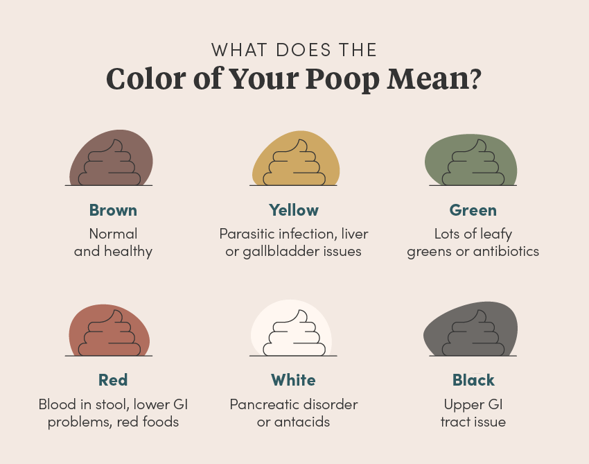 What does the color does your poop mean, graphic chart