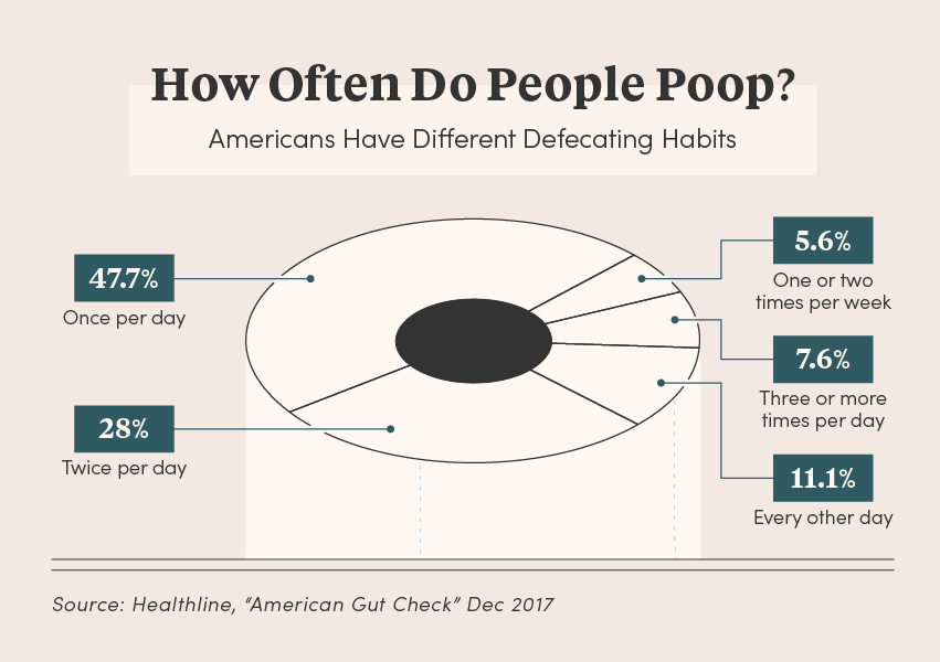 Graphic chart displaying how often people poop