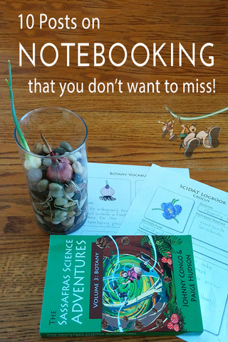 These ten posts on notebooking will help you understand the how's and why's of this super effective tool.