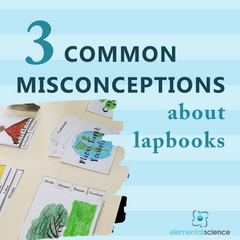 Have you run across one of these misconceptions? Learn the truth about lapbooks and how you can use them in your homeschool. | Elemental Science
