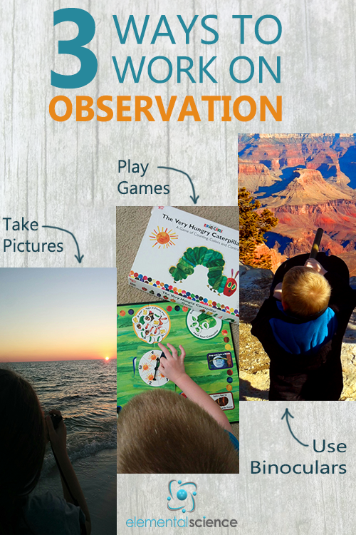 Working on the skill of observation is important for science education! Here are three ways you can provide opportunities for your students to learn to observe.