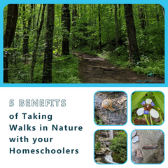 Summer is the perfect time to start a practice of taking a walk in nature. Not only will these walks create memories, but they will help you sneak in a bit of science! 