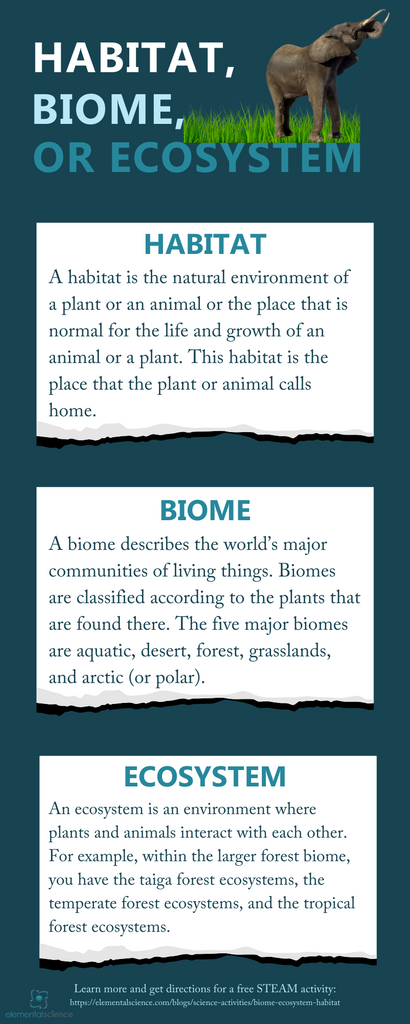 Habitat, Biome, or Ecosystem? All three seem similar, but there are subtle distinctions! Come see what those are and get a simple STEAM activity to use with your students.