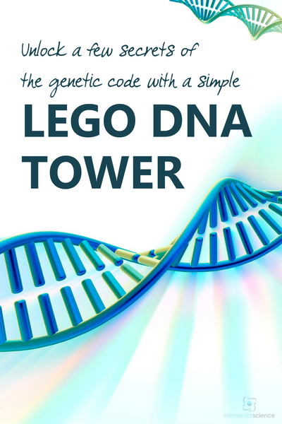 Learn about genetics as you build a simple LEGO DNA tower in this homeschool science activity from Elemental Science.