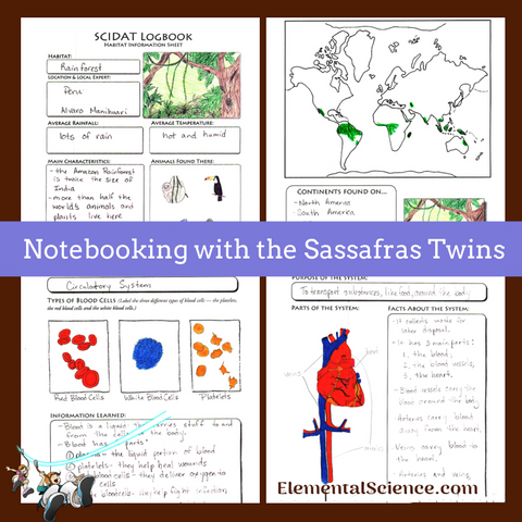 Notebooking with the Sassafras Twins