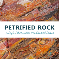 Learn about petrified rock and make your own petrified sponge in this simple STEM lesson from Elemental Science.