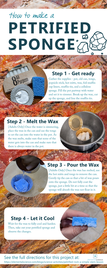 Learn about petrified rock and make your own petrified sponge in this simple STEM lesson from Elemental Science.