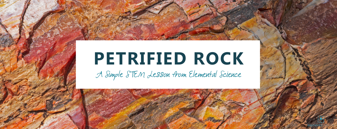 Learn about petrified rock and make your own petrified sponge in this simple STEM lesson from Elemental Science.