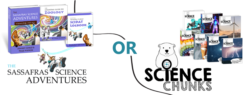 Sassafras Science or Science Chunks - which one is better?