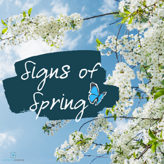 Learn how to can explore and record the signs of spring, including a free journal template from Elemental Science