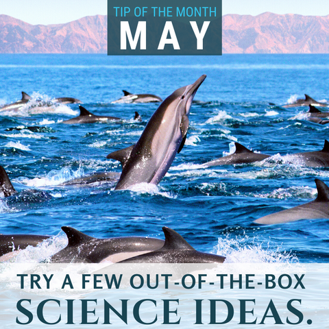 Your homeschool science tip this month from Elemental Science is to try a few out-of-the-box science ideas.