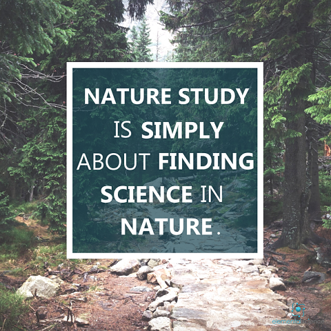 Nature study is a style of educating that searches for the principles of science in nature.