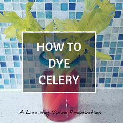 The prairie dog is jealous and so we are sharing his How to Dye Celery video