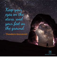 "Keep your eyes on the stars, and your feet on the ground." - Theodore Roosevelt