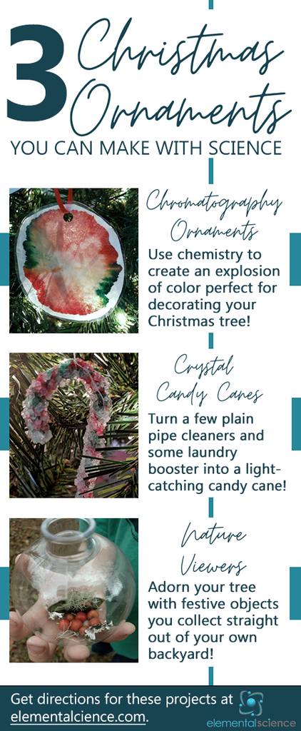 Decorate your tree using these scientific Christmas ornament ideas from Elemental Science.