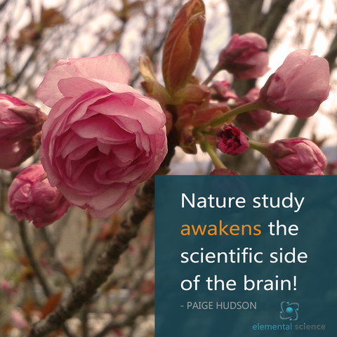 "Nature study awakens the scientific side of the brain." - Paige Hudson