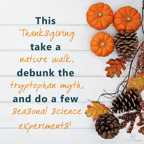 3 Thanksgiving science ideas from Elemental Science, plus links to even more