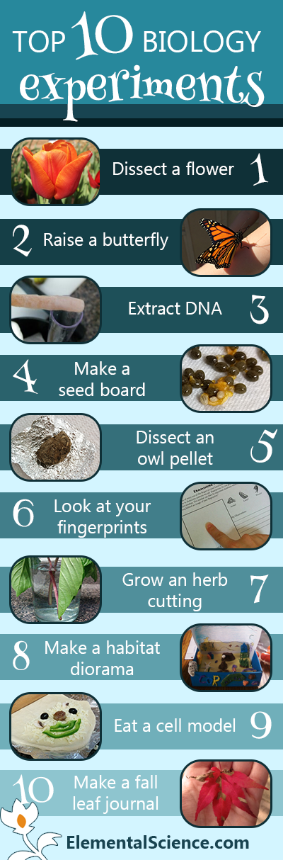 biology research topics for experiments