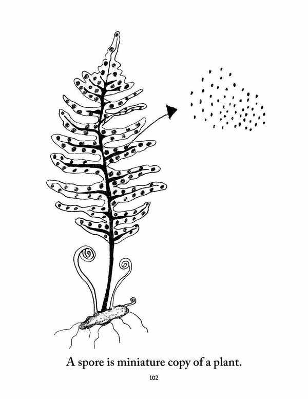 Biology Coloring pages - elementalscience.com
