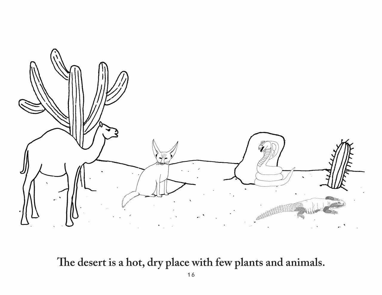 Download Zoology Coloring pages