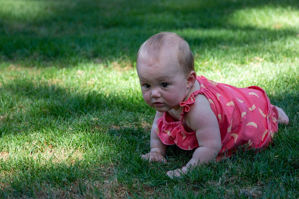 When Do Babies Start Crawling