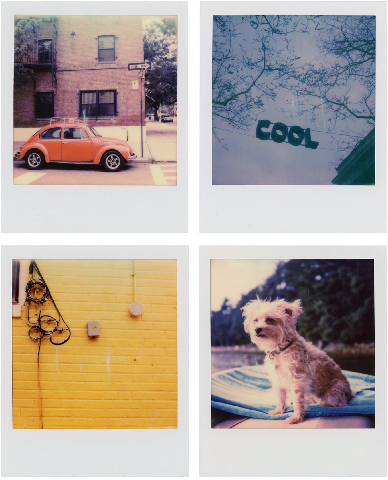 Advice on streaks on polaroid film from SX-70? : r/Polaroid