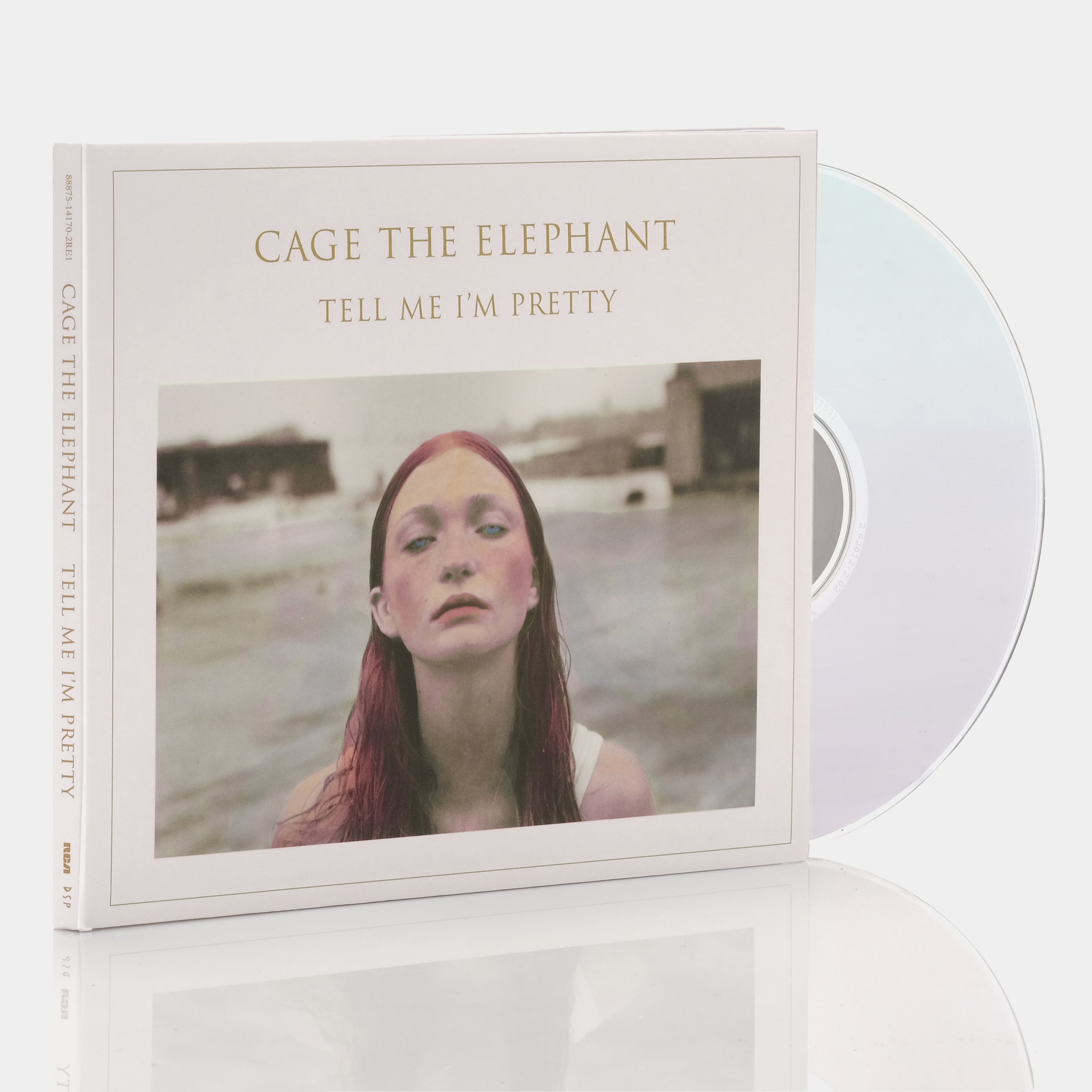 Trouble, Cage the Elephant