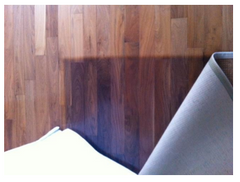 Wood floors that change color 