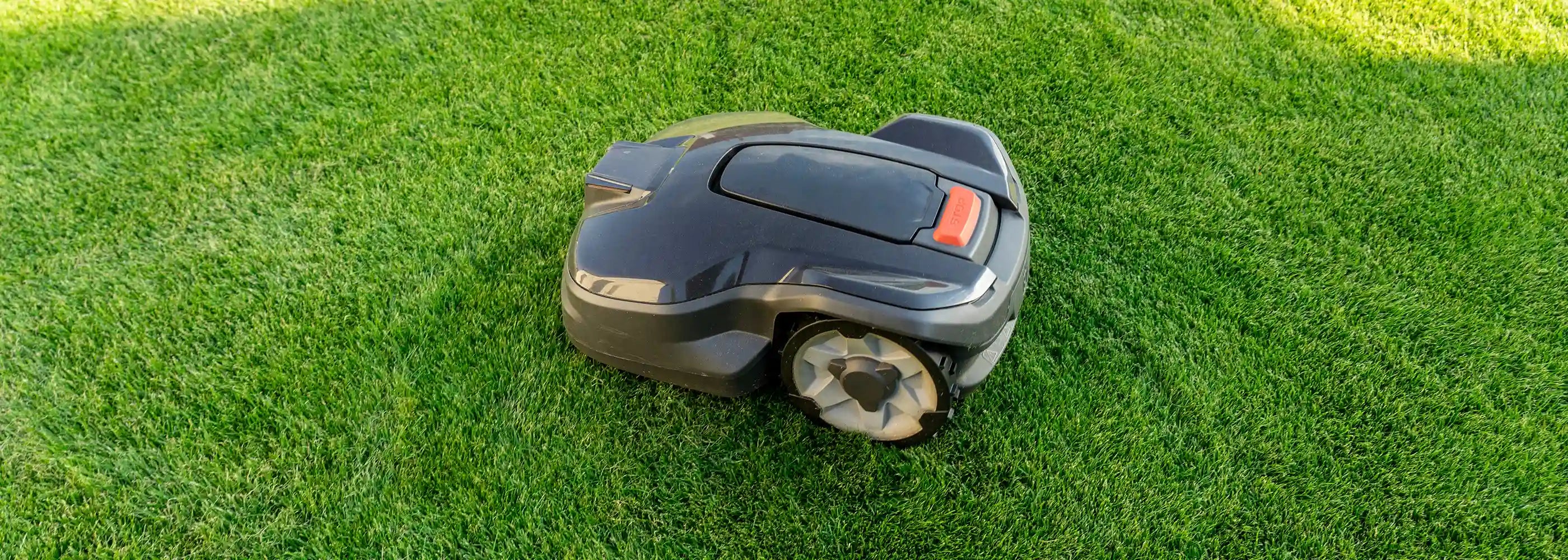 Rasenroboter/Mähroboter