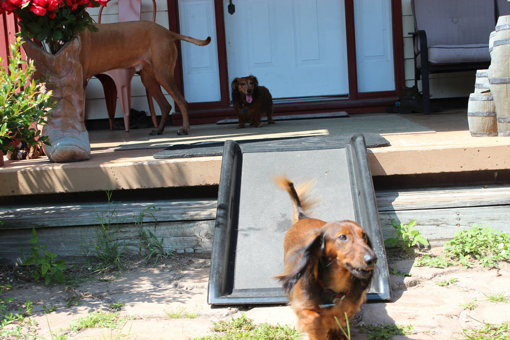 dog ramp for porch steps