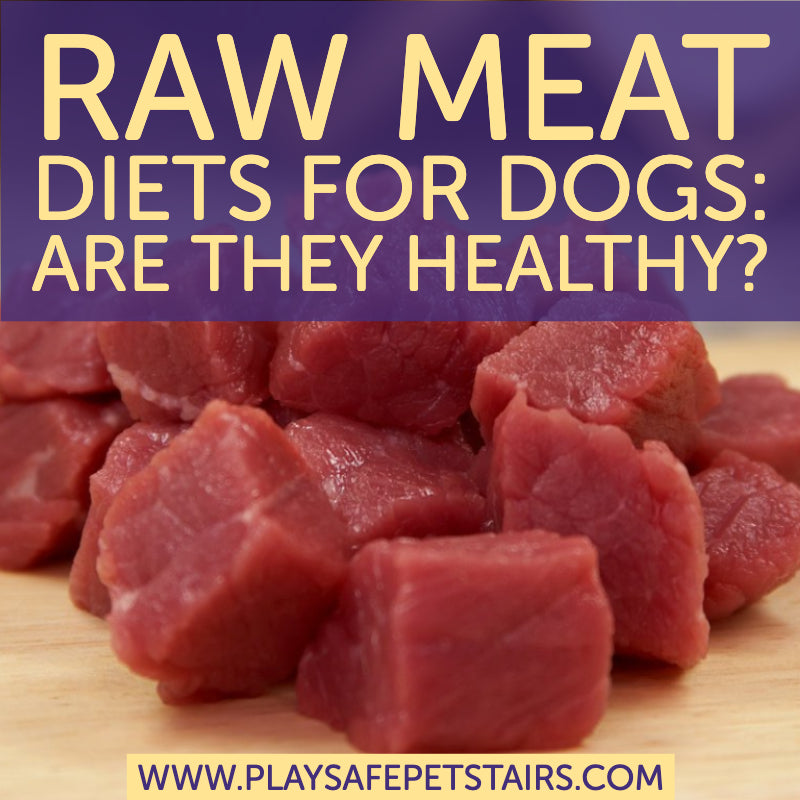 is raw hamburger good for dogs