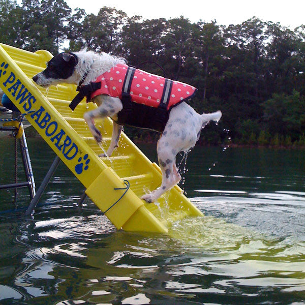 paws aboard doggy boat ladder and ramp