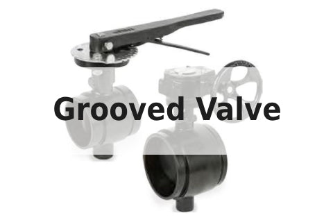 Grooved Valve