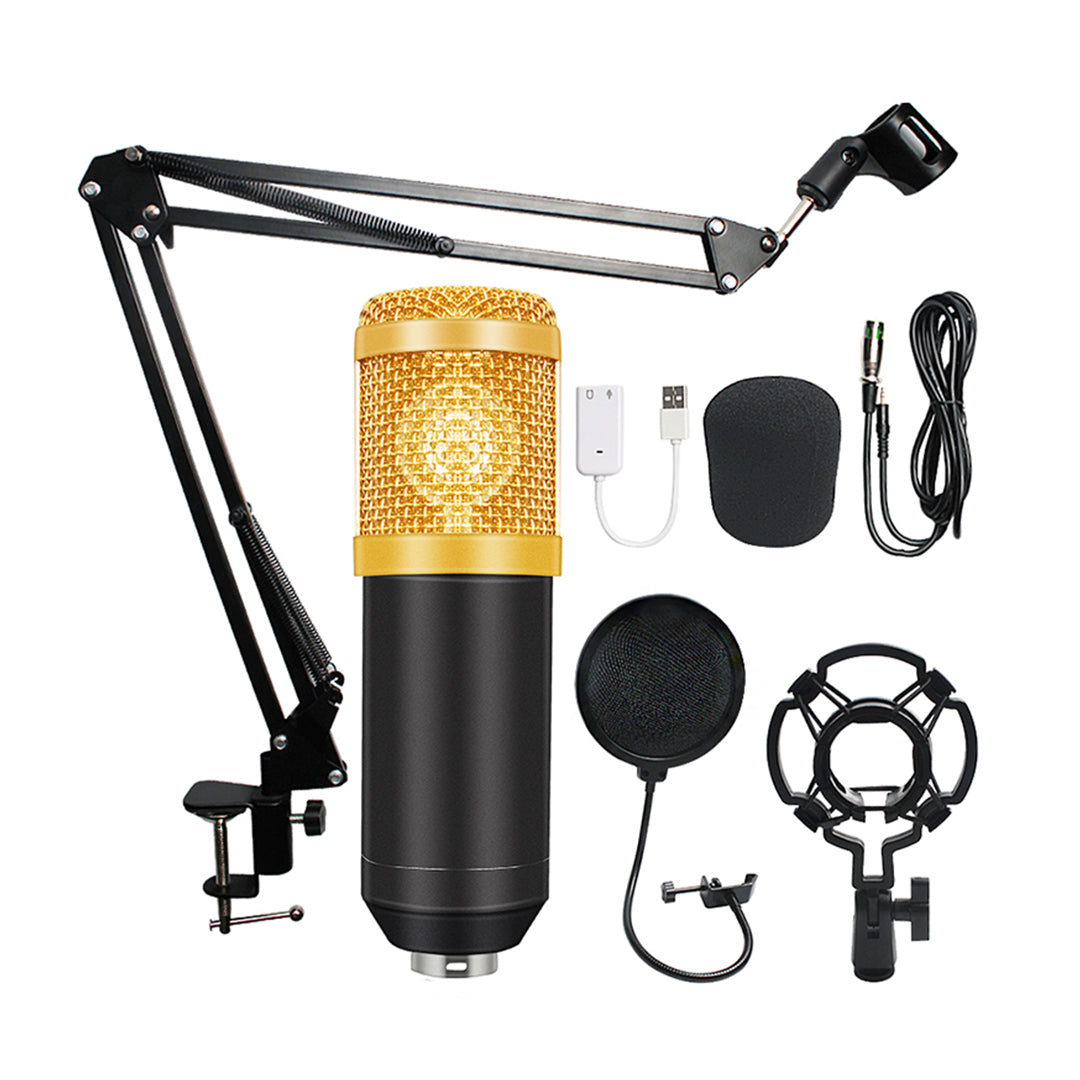 Studio Recording Microphone Boom Holder Set | Backdropsource