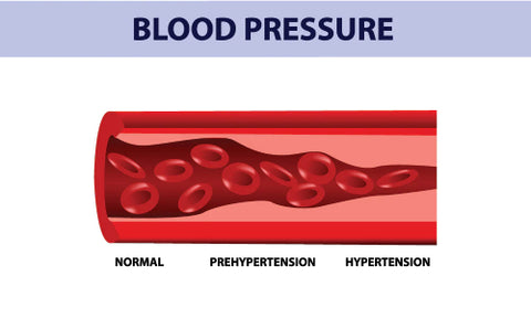 blood pressure normal prehypertension hypertension