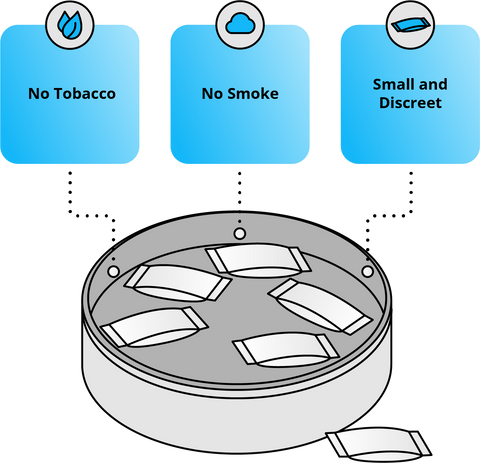 nicotine pouches features