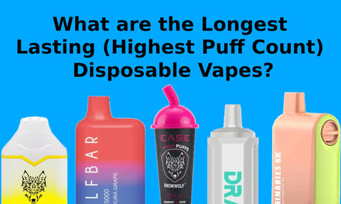 disposable vapes lasting the longest