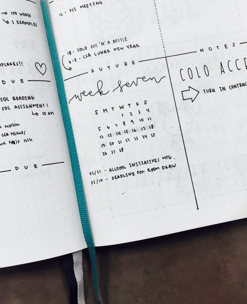 BuJo Show and Tell With @luckyletters - Bullet Journal