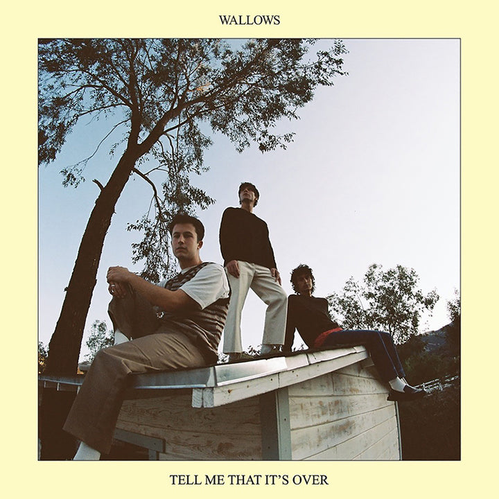 Wallows Press Photo