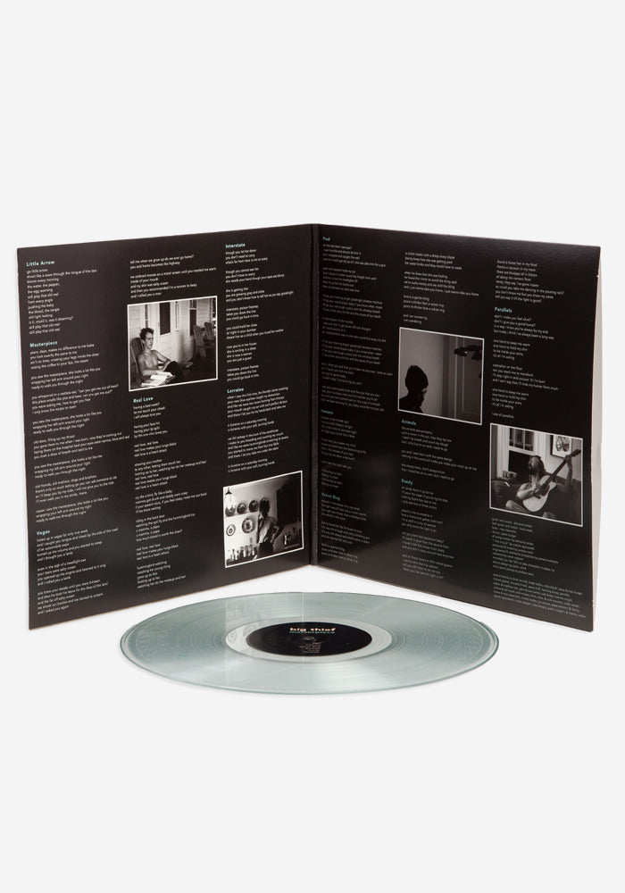 Big Thief-Masterpiece Exclusive LP (Teal) Color Vinyl | Newbury Comics