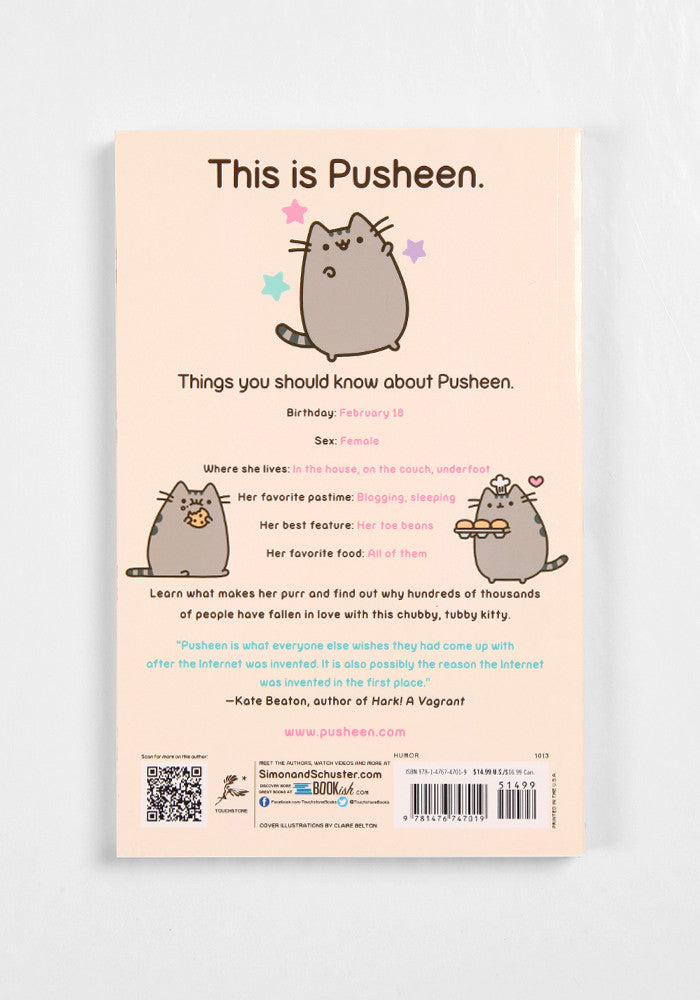 all about pusheen the cat