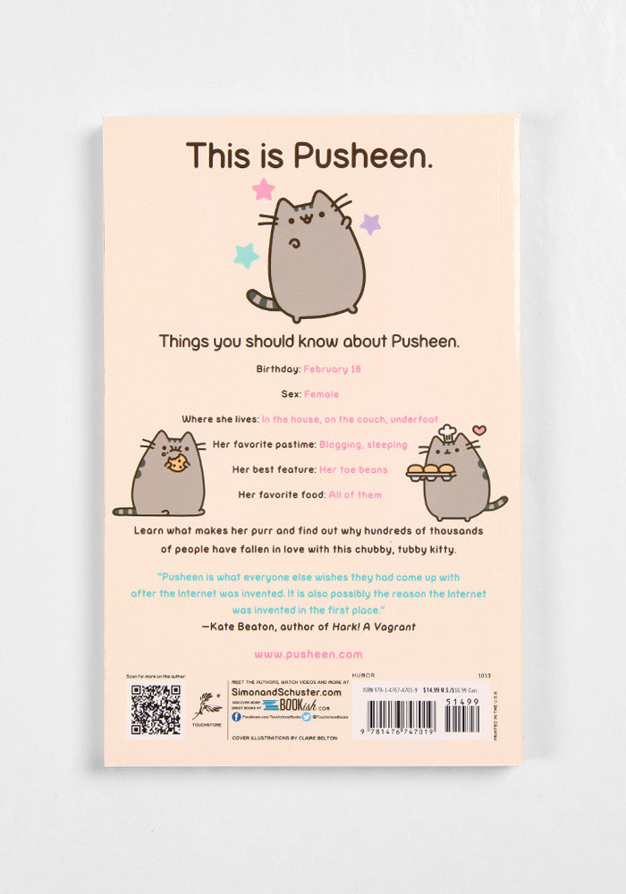 pusheen pegasus